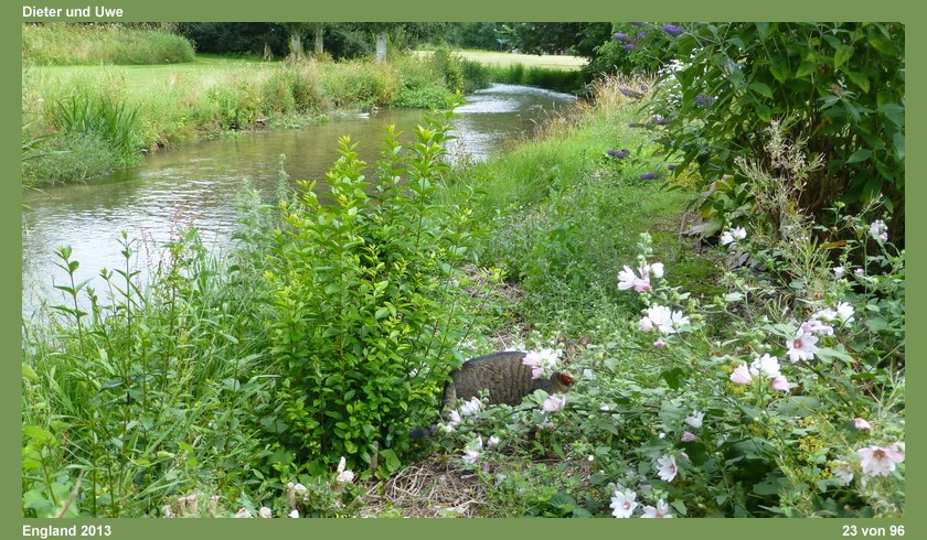 England_Teil1_113