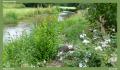 England_Teil1_113