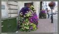 England_Teil1_118