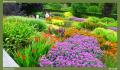 England_Teil2_157