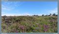 England_Teil2_066