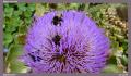 England_Teil2_176