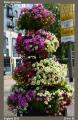England_Teil2_333